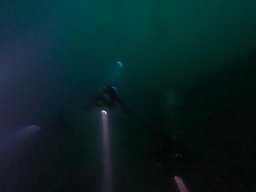 immersioni-estate22 19